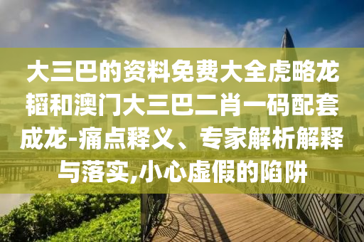大三巴的资料免费大全虎略龙韬和澳门大三巴二肖一码配套成龙-痛点释义、专家解析解释与落实,小心虚假的陷阱